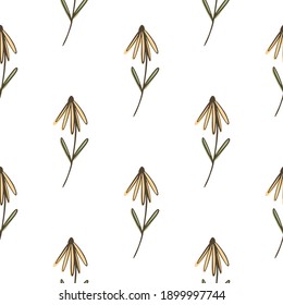 Botany seamless pattern with brown outline colored flower shapes. White background. Vintage print. Vector illustration for seasonal textile prints, fabric, banners, backdrops and wallpapers.