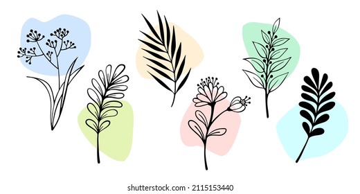 Botany Set con césped y hojas en forma de boceto dibujado a mano. Dibujo de tinta de línea. Elementos de botánica en blanco y negro sobre manchas coloridas.