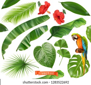 Botany. Set Of Leaves And Flowers. Tropical Plants. 3d Realistic Vector Icons