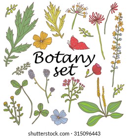 Botany. Set. Vintage flowers. 