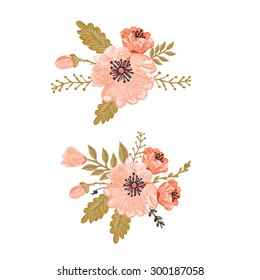 Botany. Set. Vintage flowers.Illustration