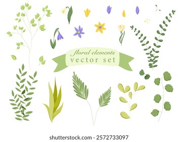 Botany vector set. Crocus flowers, green leaves and branches. Hand drawn elements for decor, print, stickers, invitations design, scrapbooking isolated on white background.