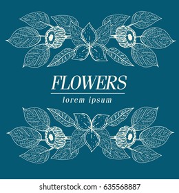 Botany vector vintage design template. Botanical elements. Vector illustration. Retro illustration