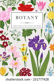 Botany. Vintage floral card. Vector illustration. Colorful flowers.