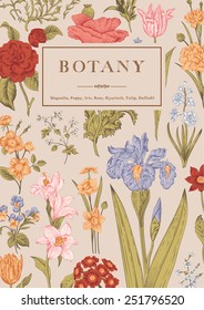 Botanik.Vintage Blumenkarte. Vektorgrafik von Stilgravuren. Farbige Blumen.