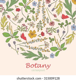 Botany. Vintage floral card. Vector illustration.