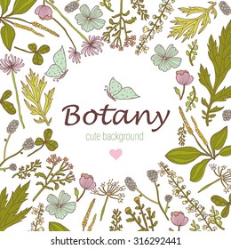Botany. Vintage floral postcard with butterfly. Vector illustration.
