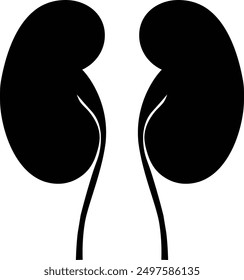 Both kidney vector icon on white background. Human internal organs concept monochrome style.