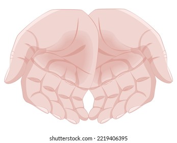 Ambos lados de las manos en la ilustración del vector de posición de la cuchara en la versión de color