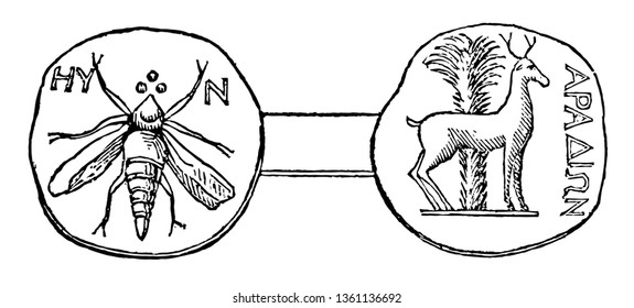 Both sides of the Aradus Medal. One side has a fly and another side represents the deer standing near a palm tree, vintage line drawing or engraving illustration.