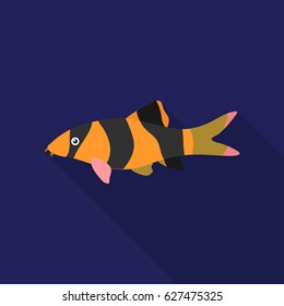 Botia clown (Botia macracantha) fish icon flat. Singe aquarium fish icon from the sea,ocean life flat.