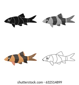 Botia clown (Botia macracantha) fish icon cartoon. Singe aquarium fish icon from the sea,ocean life cartoon.