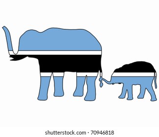 Botswana elephants