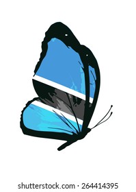 Botswana flag butterfly - vector