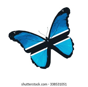 Botswana flag butterfly - vector