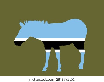 Botswana flag over zebra vector silhouette illustration isolated on background. High detailed. Country in Africa, South Africa territory state. Botswana flag over wild national animal symbol.
