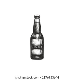 Bottle of beer vector illustration. Beer bottle sketch hand drawing