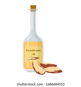 Bottle with brazil nut oil. Liquid extracted from kernels used for nourishment to skin and hair. Glass container with label flat cartoon vector illustration.