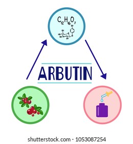 Bottle of cream with the arbutin. The berries of bearberry and cowberry. Chemical formula and graphical scheme of arbutin. Print for labels, advertising, price tag, brochure, booklet svg