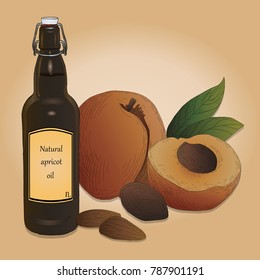Bottle of dark glass with apricot kernel oil