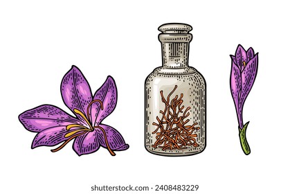 Bottle with dry threads. Saffron flower with stamens. Engraving color vintage vector illustration isolated on white background.