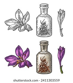 Bottle with dry threads. Saffron flower with stamens. Engraving color vintage vector illustration isolated on white background.