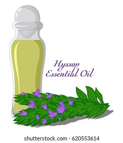 Bottle with essential oil of Hyssop with a twig on the background