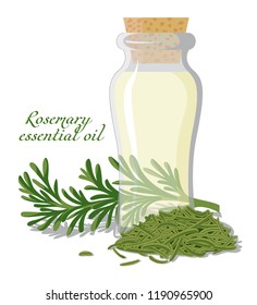 A bottle of essential oil, shown between a fresh sprig and dried rosemary leaves