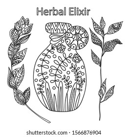 Bottle of essential oils with herbs.Herbal elixir with branches and leaves.Artistic hand drawn vector illustration.Beautiful coloring page.
