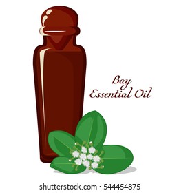 A bottle filled by essential oil of bay rum tree