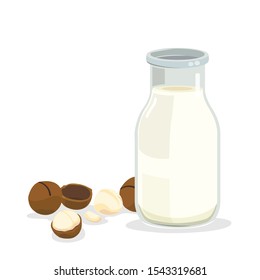 A bottle of fresh macadamia milk and macadamia nut.