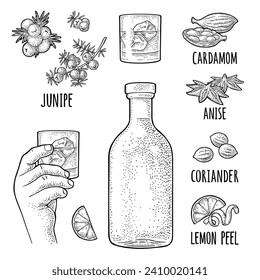 Bottle gin, lime slice, anise, cardamom, lemon peel twirled, coriander dried seed, branch juniper berries. Hands holding glass cocktail with ice. Vintage vector black engraving isolated on white