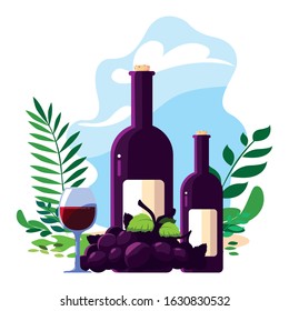 bottle and glass of wine with grapes vector illustration design