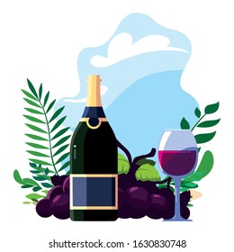 bottle and glass of wine with grapes vector illustration design