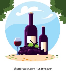 bottle and glass of wine with grapes vector illustration design