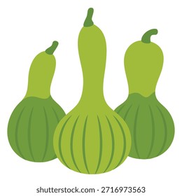 Bottle gourd flat design isolated vector illustration on white background