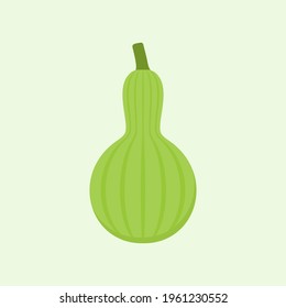 bottle gourd flat design vector illustration