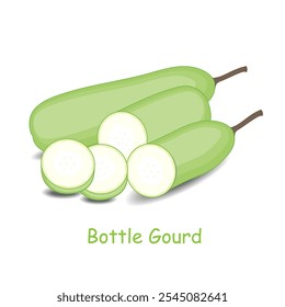 Bottle gourd or Opo squash isolated on a white background.