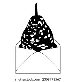 Bottle Gourd Speckled Bottle inside paper envelope. Lagenaria siceraria. Calabash Opo squash. Black and white silhouette.