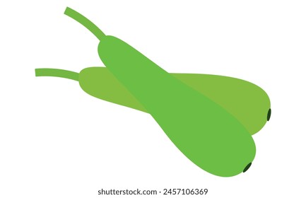 Bottle Gourd Vector Design And Illustration.