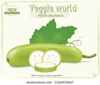 bottle gourd vector illustration with green leaf and its pieces
