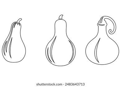 Bottle Gourd Vegetable Outline Icon set