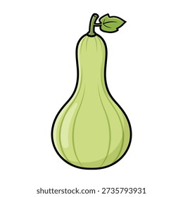 Bottle Gourd Vegetable Vector Art Isolated on White