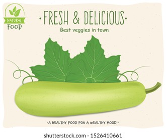 Bottle gourd vegetable - vector illustration with green leaf 