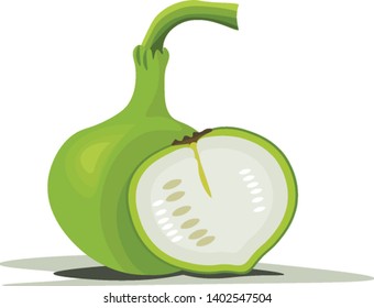 A bottle gourd which is not tall and a slice of vegetable cut beside it , vector, color drawing or illustration.