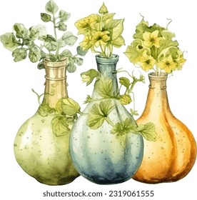 Bottle Gourds Watercolor illustration. Hand drawn underwater element design. Artistic vector marine design element. Illustration for greeting cards, printing and other design projects.