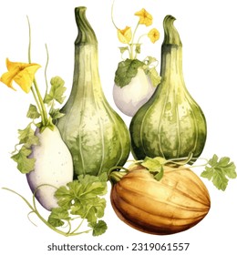 Bottle Gourds Watercolor illustration. Hand drawn underwater element design. Artistic vector marine design element. Illustration for greeting cards, printing and other design projects.