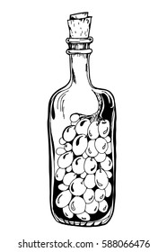 Bottle with grapes, wine concept. Decorative design element. Doodle