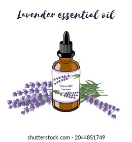 A bottle of Lavender oil and lavender flowers. Vector illustration