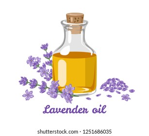 Bottle of Lavender oil with fresh flowers, branches and seeds isolated on white background. Vector illustration in cartoon simple flat style.